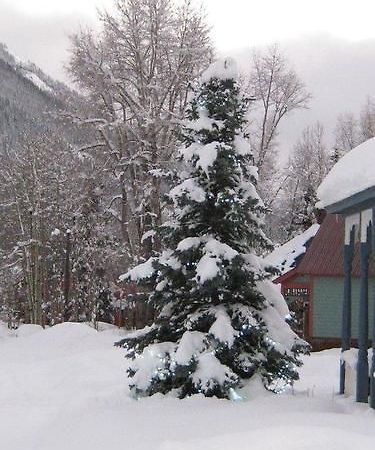 Blair Street Hostel Telluride Dış mekan fotoğraf