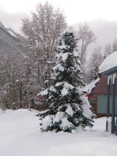 Blair Street Hostel Telluride Dış mekan fotoğraf